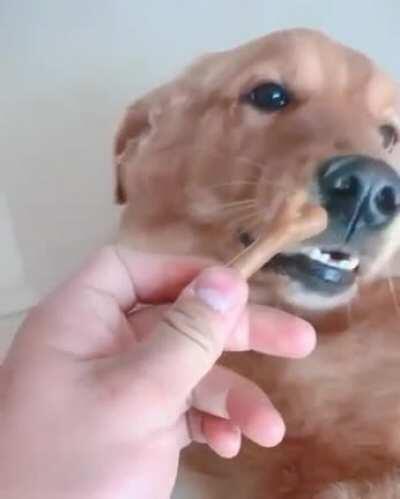 Taming the wild beast