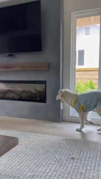 Smart in her own way