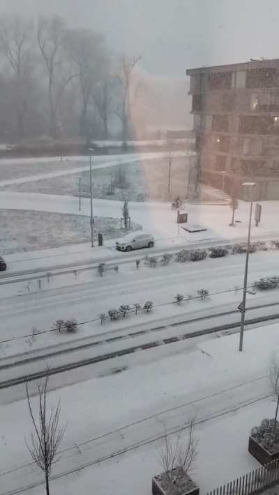 People biking in the snow, the Netherlands