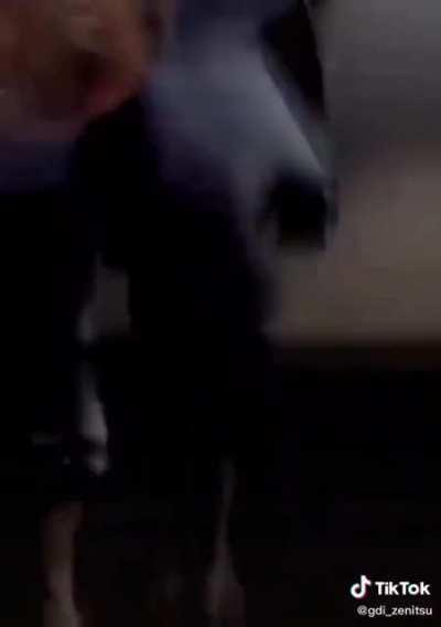 pt2 to furry (upvote so charmax can see)