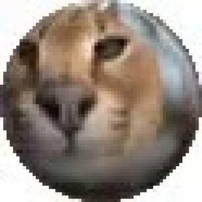 rewards for floppa sphere