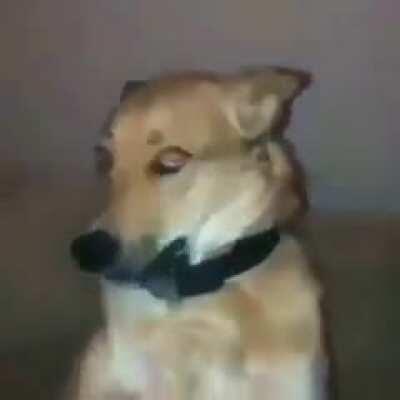 Like a beyblade ARGHH