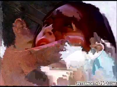 Domino - North Pole 24 (2001)