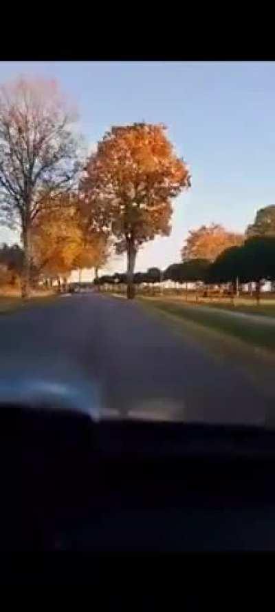 Polish man commits suicide by crashing into a tree(more informations)