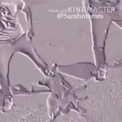 era unknown; genre Russian rap I guess