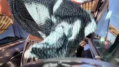 Wait until the end and watch me getting caught [gif] [oc]