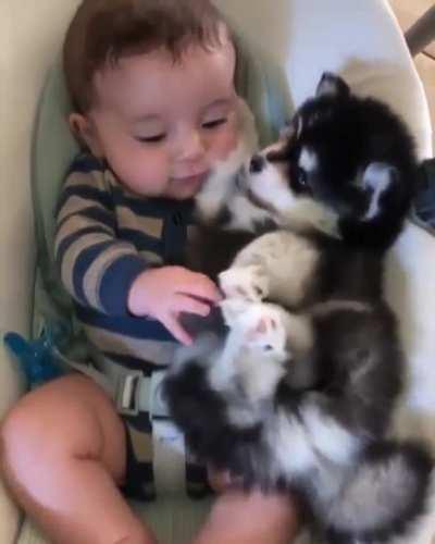 Does this qualify, chonky pupper cuddling baby