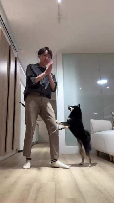 Teaching a dog to dance