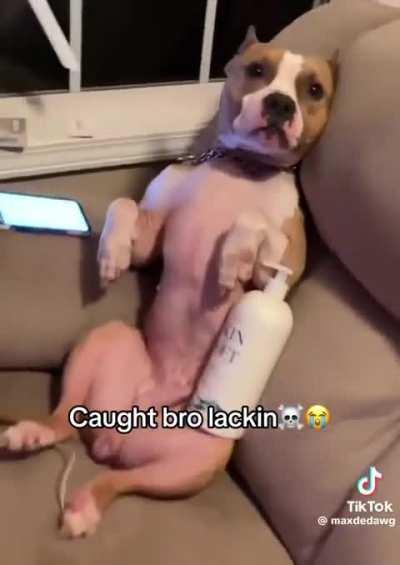 6 red rockets is crazy😭😭🙏🙏