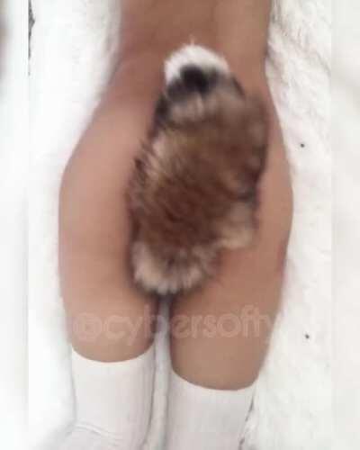 i'll be your kitten, your fox, or anything else you want me to be!