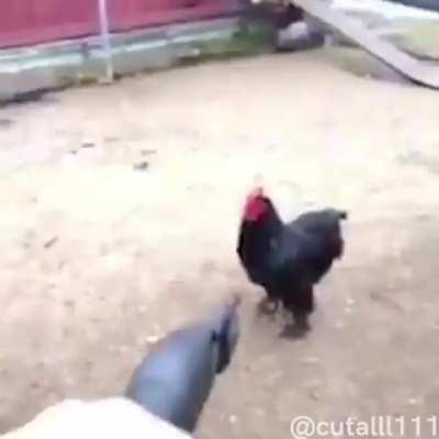 Se propaganda de jogo tivessem trailers em vida real