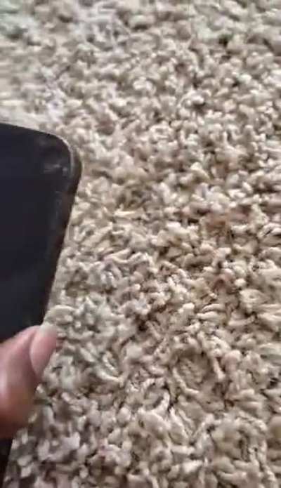 How can I fix this issue?