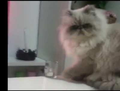 FAA and the Tower...