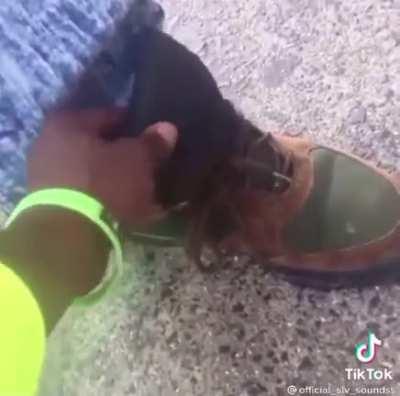 Beef and Broccoli 😩