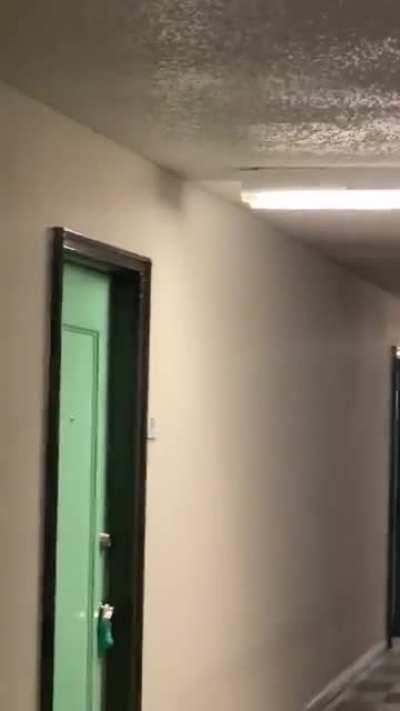 Tweaked neighbor broke into and out of the attic