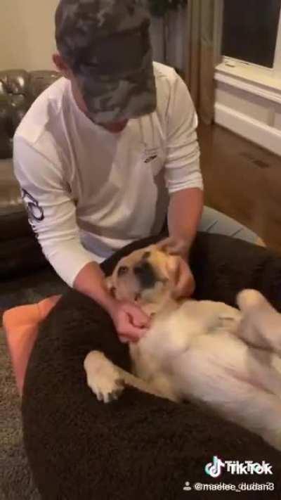 Trust me this is worth 15 seconds of your life