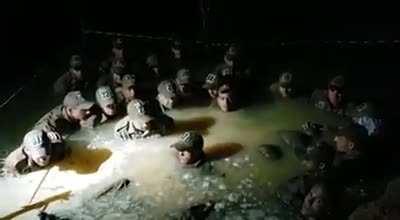 Grelo ninja no exército