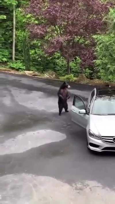 No! Not The Mercedes!!!