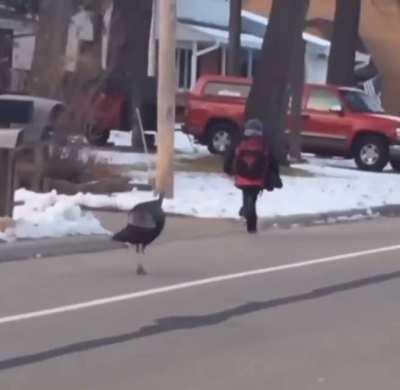 When Thanksgiving Goes Wrong