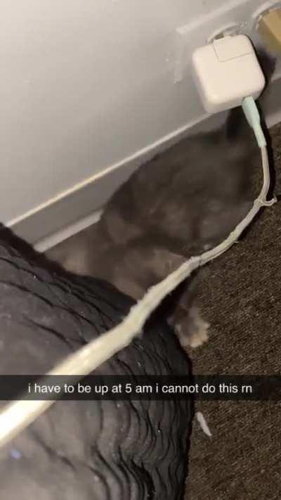 she’s does this every night after midnight