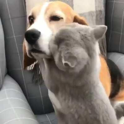 Let me love you..........!