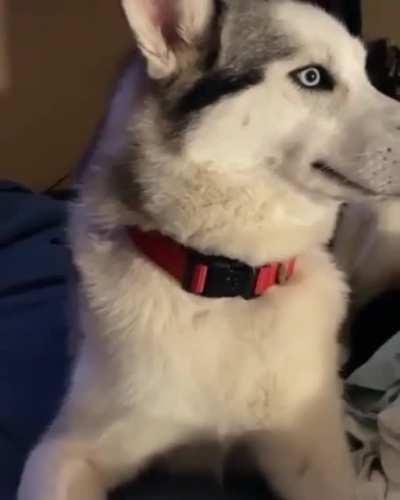 Don’t make eye contact. Don’t make eye contact. Don’t make eye contact