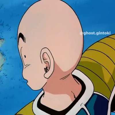 Look here, monkey and ningen