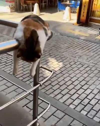 Catorail has broken down