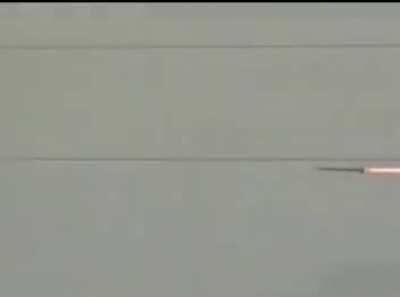 video daki müzğin ismi