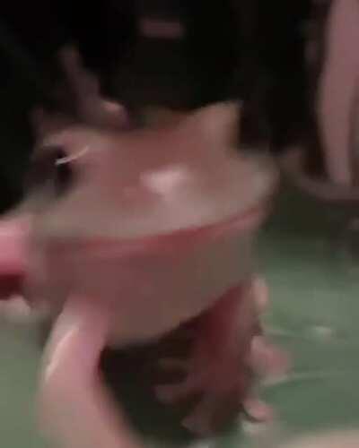 I’m proud of everyone