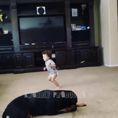 V&aacute; para o helic&oacute;ptero!!!