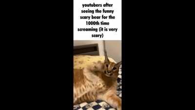 Freddy fazbear (thud sound) (thud sound) (thud sound) (fart sound effect)