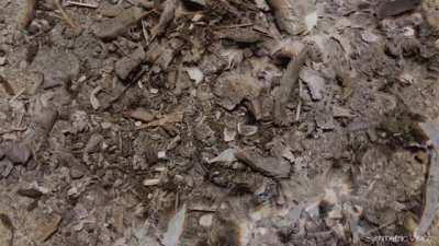 Dude, Its Just A Pile Of Trash