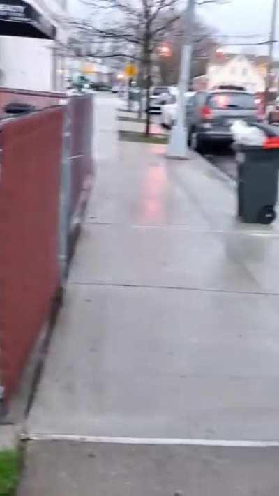 What you shouldn't do with a rabid animal