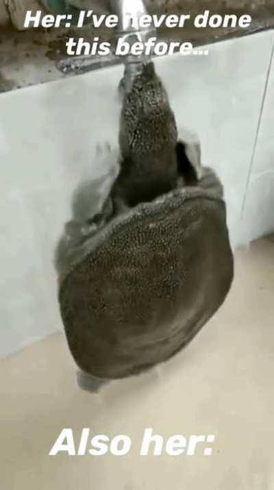 Slow and steady, they said… (oc)