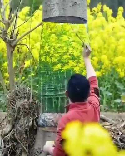 The illusion of seeing through the tree