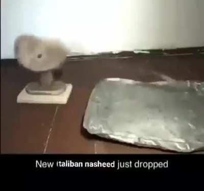 🎵*Congrachulayshun Congrachulayshun, we hev bit de amerikan nashun* 🎵