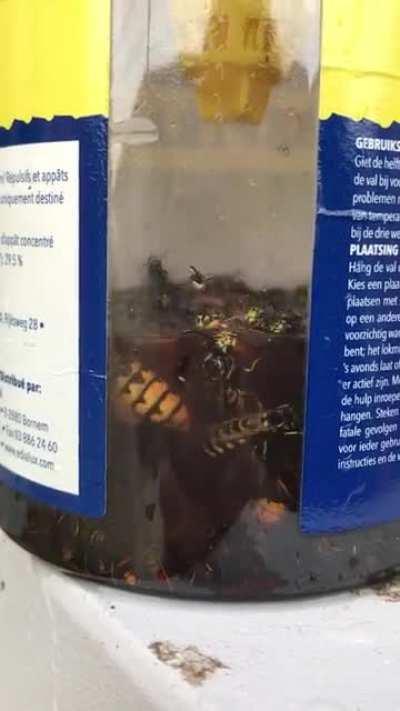 Fucking assholes won't die, so added some vinegar.