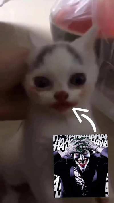 😂😂😂😂😂😂😂😂🏳️‍🌈