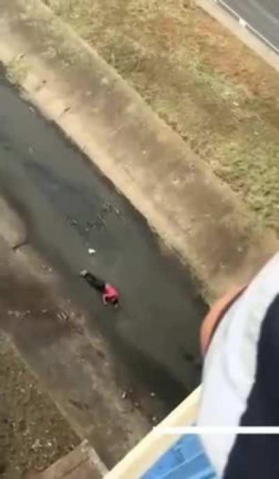 Backflip didnt go as plan