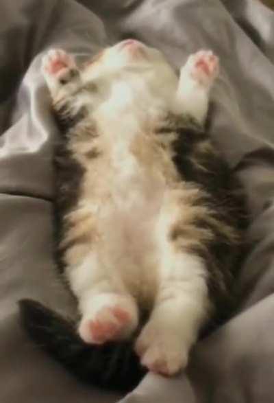 Немного милоты