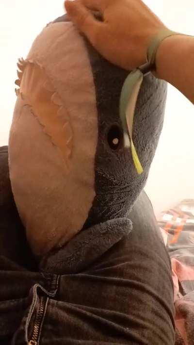 [Tutorial] how to pat your blahaj before bedtime + bonus smolhaj