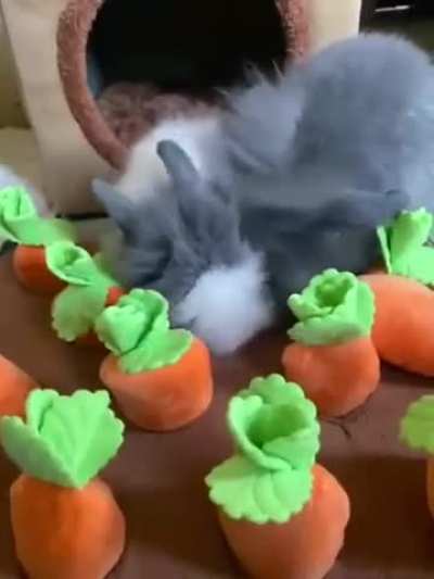 Spark is so calm then there’s Shimmer…