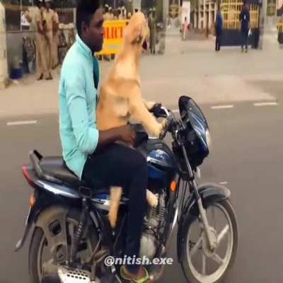 Welcome To The New Era