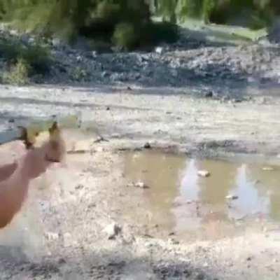 Oh brandon I have something to ruin your day with