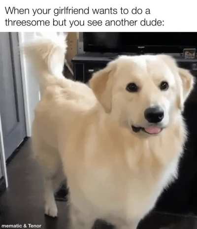 Never understood the appeal to be honest because I can hardly handle one