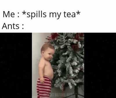 Sniffs aah a new nutrition source.