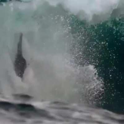 The ocean devouring people whole...