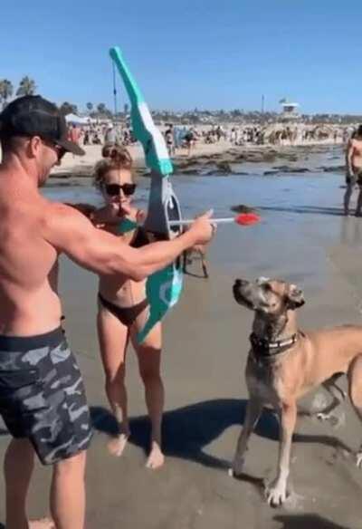 My ocean people need me