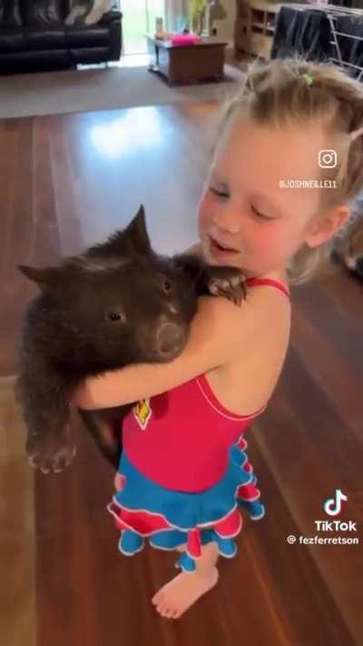 The more I learn about wombats the more I like them
